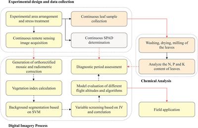 Integrated diagnosis and time-series sensitivity evaluation of nutrient deficiencies in medicinal plant (Ligusticum chuanxiong Hort.) based on UAV multispectral sensors